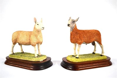 Lot 1014 - Border Fine Arts 'Border Leicester Tup', model No. L163 by Ray Ayres, 17.2cm high, ltd. edition...