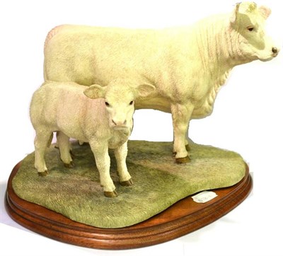 Lot 1015 - Border Fine Arts 'Charolais Cow & Calf' (style three), model no. B0742 by Jack Crewdson, 23.5cm...