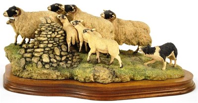 Lot 1031 - Border Fine Arts 'Gathering In The Strays' (Sheep and Collie), model No. JH28 by Ray Ayres,...