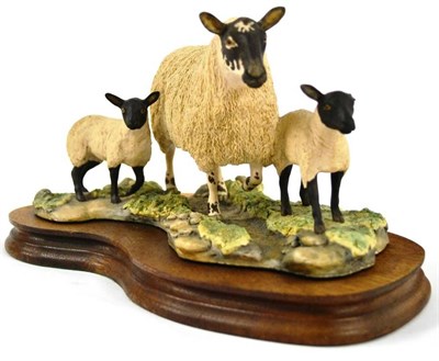 Lot 1049 - Border Fine Arts 'Mule Ewe and Lambs', model No. EG03 by Mairi Laing Hunt, 15cm high, ltd....
