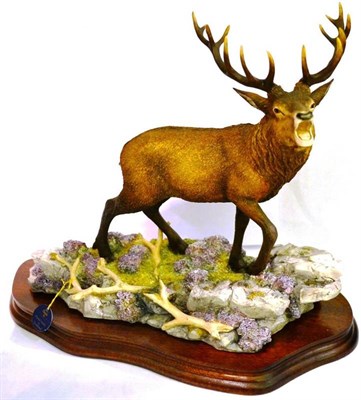 Lot 1082 - Border Fine Arts Classic 'Highland Majesty', model no. BO220 by Richard Roberts, 30.5cm high,...