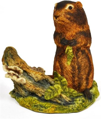 Lot 1087 - A Rare Border Fine Arts North American 'Woodchick', rare model, by Anne Wall