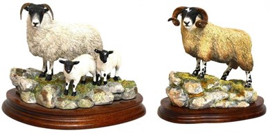 Lot 1003 - Border Fine Arts 'Blackie Tup', model No. B0354 by Ray Ayres, limited edition 1348/1750, on...