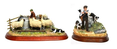 Lot 1020 - Border Fine Arts 'On The Hill' (Shepherd, sheep and border collie), model No. B0877 by Craig...