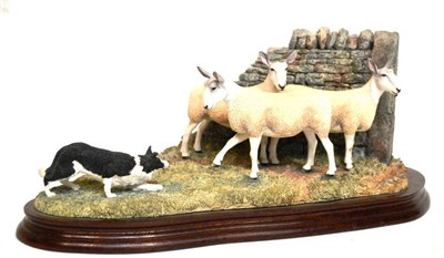 Lot 1027 - Border Fine Arts 'Stand Off' (Border collie and sheep), model No. B0701 by Ray Ayres, limited...