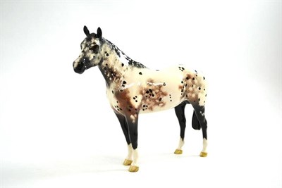 Lot 1039 - Beswick Appaloosa stallion, model No. H1772