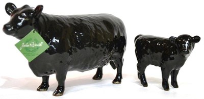 Lot 1055 - Beswick Cattle; Aberdeen Angus Cow, model No. 1563 and Aberdeen Angus Calf, model No. 1827A,...