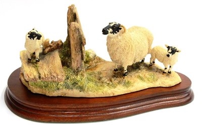 Lot 2007 - Border Fine Arts 'Wrong Side Of The Fence' (Ewe and Lambs), model No. JH100 by Anne Wall,...