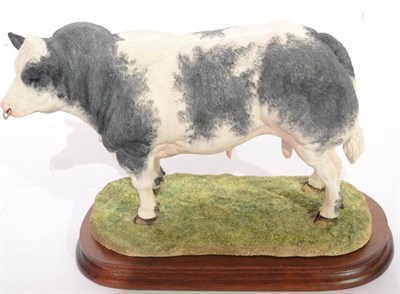 Lot 2015 - Border Fine Arts 'Belgian Blue Bull', model No. B0833 by Jack Crewdson, limited edition 141/500, on