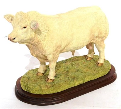 Lot 2016 - Border Fine Arts 'Charolais Bull' (Style Two), model No. B0587 by Jack Crewdson, limited...