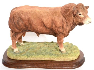 Lot 2019 - Border Fine Arts 'Limousin Bull' (Style Two), model No. B0531 by Jack Crewdson, limited edition...