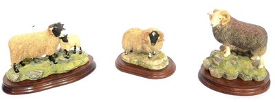 Lot 2021 - Border Fine Arts 'Swaledale Ewe and Lambs', model No. B0307 by Ray Ayres, limited edition...