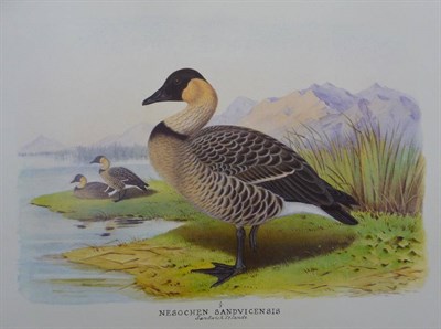 Lot 243 - Henry Jones Olney (Peter J.S.), The Wildfowl Paintings of Henry Jones, 1987, oblong folio, numbered