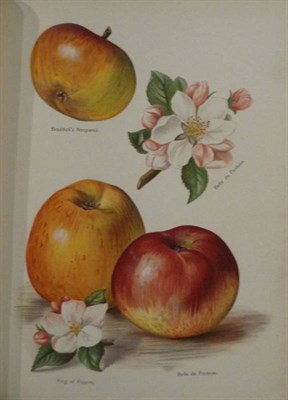 Lot 246 - Wright (John) The Fruit Grower's Guide, nd., 6 vols., 3 chromolitho titles and 43 chromolitho...