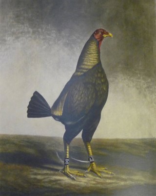 Lot 133 - Scott (George Ryley) The History of Cockfighting, nd., numbered ltd. edition, t.e.g., half morocco