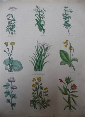 Lot 157 - Culpepers (Nicholas) The Complete Herbal .., 1835, Thomas Kelly, 4to. in 2s, engraved frontis (edge