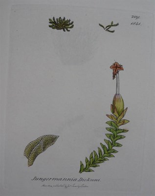 Lot 221 - Sowerby (James) & Smith (James Edward) English Botany ..., Vols 1, 7, 8, 9 & 12, nd & 1840-6, 5...