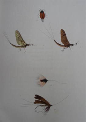 Lot 241 - Ronalds (Alfred) The Fly-Fisher's Entomology, Illustrated by Coloured Representations of the...