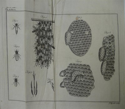 Lot 263 - Wildman (Thomas) A Treatise on the Management of Bees; wherein is contained the Natural History...