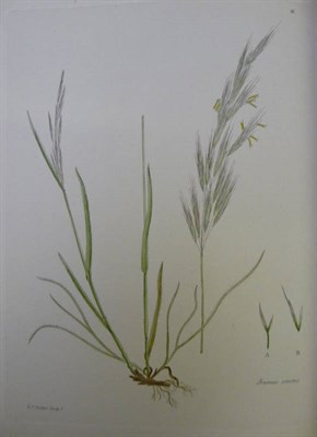 Lot 275 - Knapp (J.L.) Gramina Britannica, or Representations of the British Grasses with Remarks and...