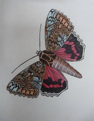 Lot 276 - Brown (Thomas) The Book of Butterflies, Sphinges and Moths .., 1832-4, 3 vols., first editions, 144