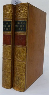 Lot 280 - Yarrell (William) A History of British Fishes, 1841, 2 vols., contemporary calf gilt