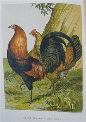 Lot 116 - Tegetmeier (W.B.) The Poultry Book, nd., Routledge, 30 chromo-litho plates (incl. title) after...