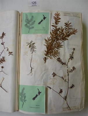 Lot 126 - Trees and Shrubs of New Zealand A Folio album containing in excess of 200 mounted botanical...