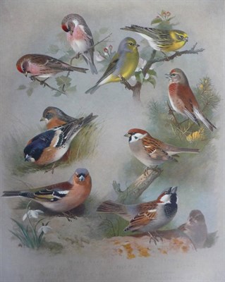 Lot 127 - Thorburn (A.) British Birds, 1917-18, 4 vols. third and second editions, 82 colour plates, original