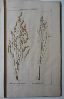 Lot 128 - Moore (David) Concise Notices of British Grasses, Best Suited for Agriculture with Preserved...