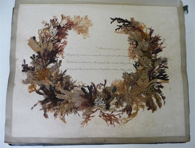 Lot 178 - An Album of Sea Weeds an interesting 4to. album, comprising frontis of ms. verse surrounded by...