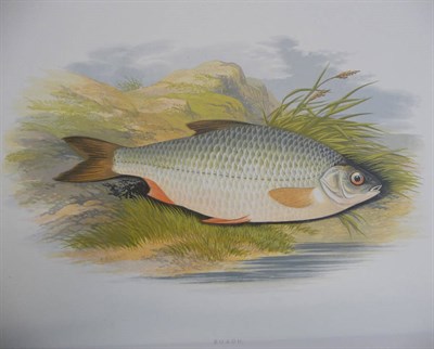 Lot 184 - Houghton (W.) British Fresh-Water Fishes, nd. [1879], Mackenzie, folio, 41 chromolitho plates,...