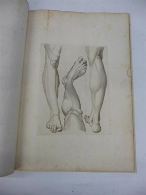 Lot 220 - Piroli (Tommaso) Raccolta di Studi come Elementi del Disegno tratti Dall'Antico da Raffaello e...