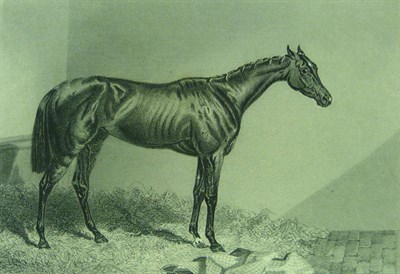 Lot 101 - Taunton (Thomas Henry)Portraits of Celebrated Racehorses of the Past and Present Centuries, 1887-8