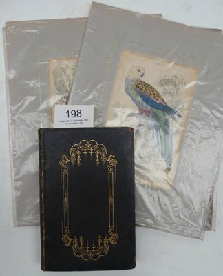 Lot 198 - Selby (Prideaux J.) The Natural History of Parrots (The Naturalist's Library, Ornithology, vol. VI