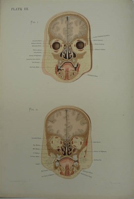 Lot 214 - Symington (Johnson) The Topographical Anatomy of the Child, 1887, folio, 14 chromolitho plates,...