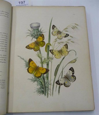 Lot 197 - Humphreys (H.N.) & Westwood (J.O.) British Butterflies and their Transformations, 1849, 4to.,...