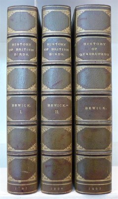 Lot 175 - Bewick (Thomas) History of British Birds, 1797-1804, Newcastle, first edition, 2 vols., wood...