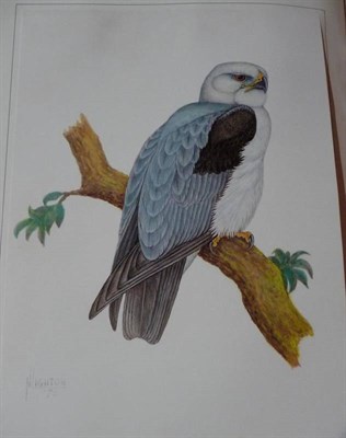 Lot 177 - Bird (A.V.) edit. The Paintings of Norman Lighton for Roberts 'Birds of South Africa', nd.,...