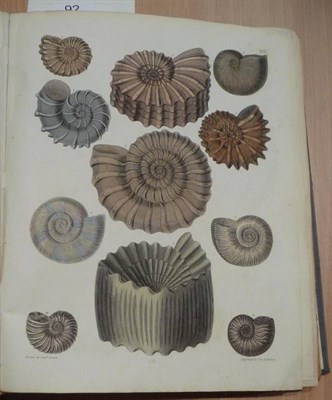 Lot 92 - Brown (Thomas, Capt.) Illustrations of the Fossil Conchology of Great Britain and Ireland, nd....