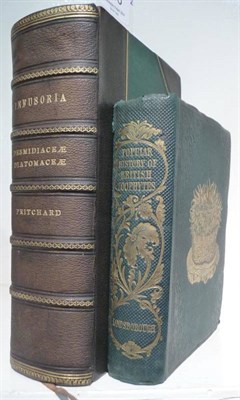 Lot 158 - Pritchard (Andrew) A History of Infusoria, including The Desmidiaceae and Distomaceae, British...