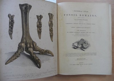 Lot 102 - Mantell (Gideon Algernon) A Pictorial Atlas of Fossil Remains ..., 1850, Bohn, 4to., seventy...