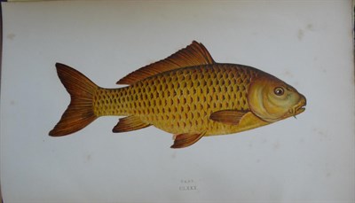 Lot 140 - Couch (Jonathan) A History of the Fishes of the British Islands, 1862, Groombridge, 252...