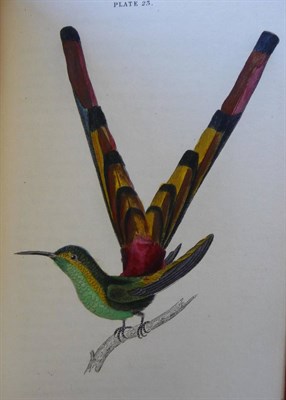 Lot 145 - Jardine (William) The Natural History of Humming-Birds (Naturalist's Library), 1833, two...
