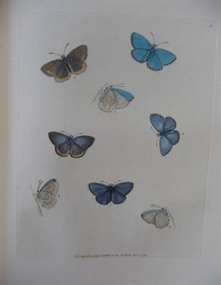 Lot 85 - Lewin (W.) The Papilios of Great Britain, Systematically Arranged, Accurately Engraved, and Painted