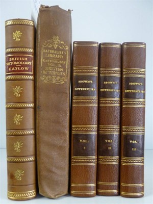 Lot 93 - Brown (Thomas) The Book of Butterflies, Sphinges, and Moths ..., 1834, Whittaker et al, three...