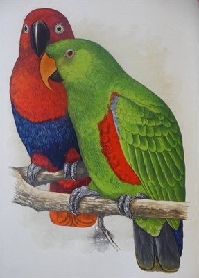 Lot 99 - Greene (W.T.) Parrots in Captivity, 1884, George Bell, three volumes, eighty-one hand coloured...