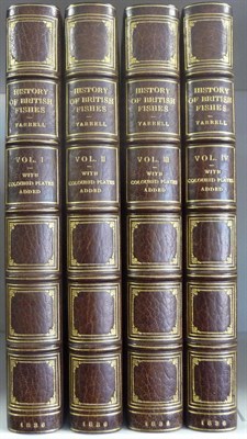 Lot 100 - Yarrell (William) A History of British Fishes, Two Volumes extended to Four by the Addition of...