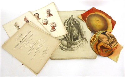 Lot 138 - Fau (Doctor J.)  The Anatomy of the External Forms of Man .... Atlas, 1849, Hippolyte...