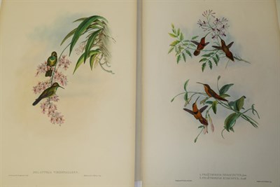 Lot 45 - John Gould (British, 1804-1881) HUMMINGBIRDS Delattria Viridipallens; Nectarinia Insignis;...